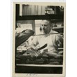 Peter Wellts with cleaver in hand in the deli, 1949. Ontario Jewish Archives, Blankenstein Family Heritage Centre, accession 2013-9-7|